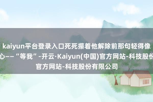 kaiyun平台登录入口死死攥着他解除前那句轻得像慨叹的本心——“等我”-开云·Kaiyun(中国)官方网站-科技股份有限公司