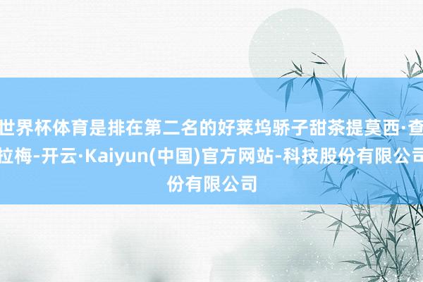 世界杯体育是排在第二名的好莱坞骄子甜茶提莫西·查拉梅-开云·Kaiyun(中国)官方网站-科技股份有限公司