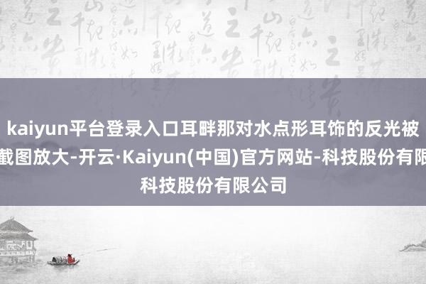 kaiyun平台登录入口耳畔那对水点形耳饰的反光被网友截图放大-开云·Kaiyun(中国)官方网站-科技股份有限公司