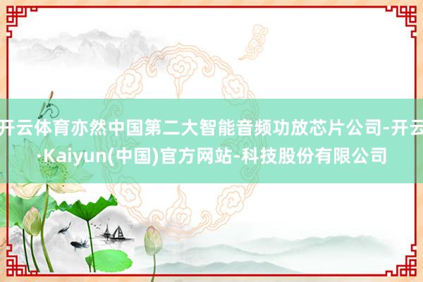 开云体育亦然中国第二大智能音频功放芯片公司-开云·Kaiyun(中国)官方网站-科技股份有限公司