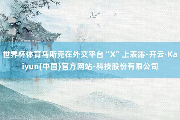 世界杯体育马斯克在外交平台“X”上表露-开云·Kaiyun(中国)官方网站-科技股份有限公司