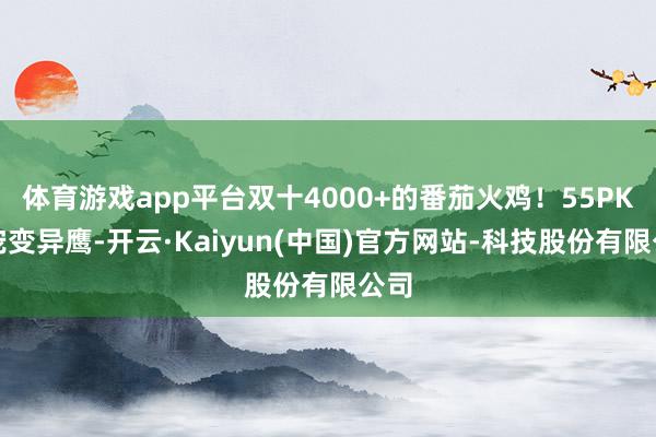 体育游戏app平台双十4000+的番茄火鸡！55PK神宠变异鹰-开云·Kaiyun(中国)官方网站-科技股份有限公司