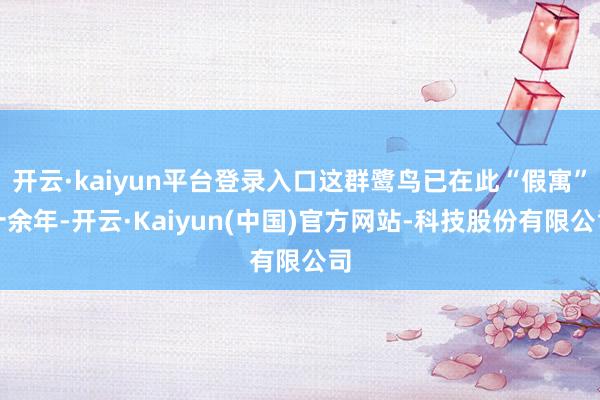 开云·kaiyun平台登录入口这群鹭鸟已在此“假寓”十余年-开云·Kaiyun(中国)官方网站-科技股份有限公司