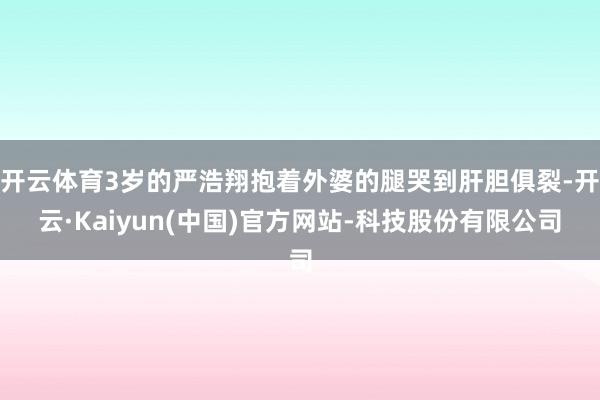 开云体育3岁的严浩翔抱着外婆的腿哭到肝胆俱裂-开云·Kaiyun(中国)官方网站-科技股份有限公司