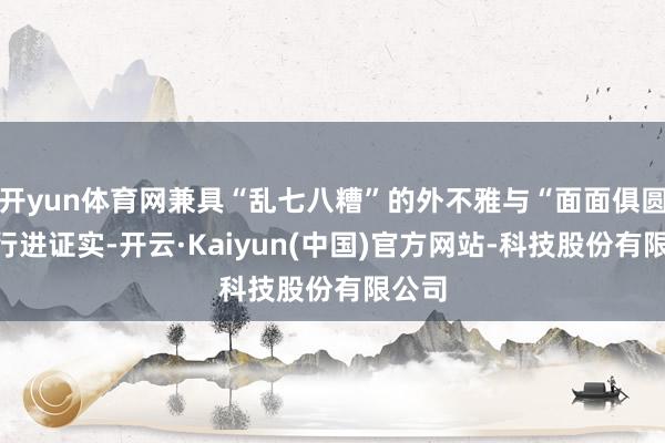 开yun体育网兼具“乱七八糟”的外不雅与“面面俱圆”的行进证实-开云·Kaiyun(中国)官方网站-科技股份有限公司
