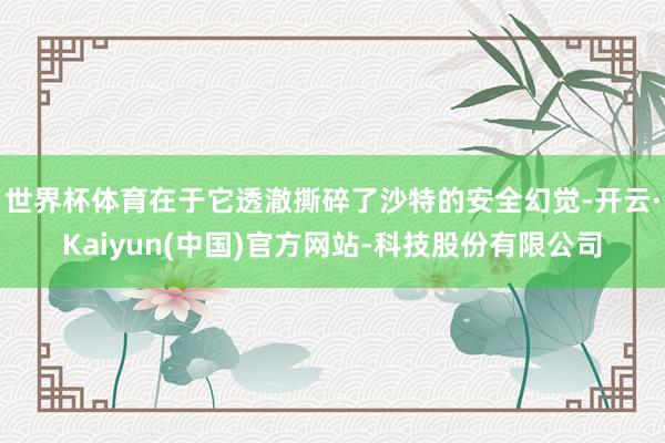 世界杯体育在于它透澈撕碎了沙特的安全幻觉-开云·Kaiyun(中国)官方网站-科技股份有限公司