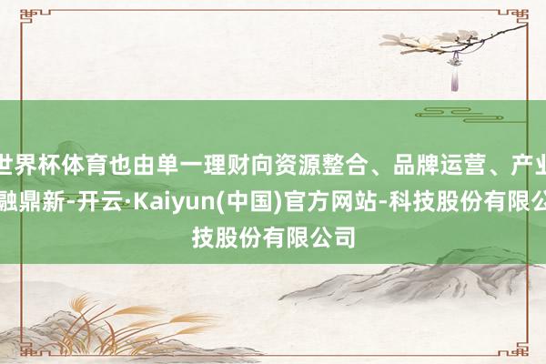 世界杯体育也由单一理财向资源整合、品牌运营、产业交融鼎新-开云·Kaiyun(中国)官方网站-科技股份有限公司